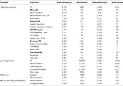 The Interferon-Induced Transmembrane Protein 3 -rs12252 Allele May Predict COVID-19 Severity Among Ethnic Minorities